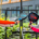 the two most common mistakes when buying a padel racket